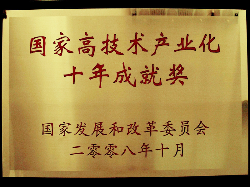 十年成就奖